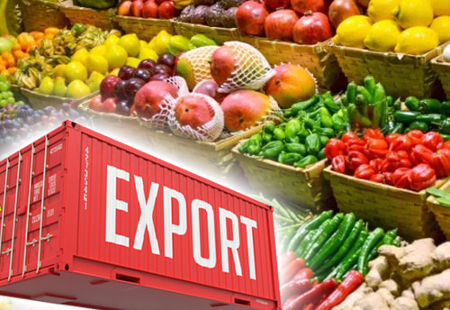 Export Goods From Nigeria