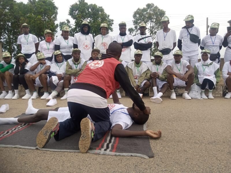 How Many Batches Does NYSC Have In A Year