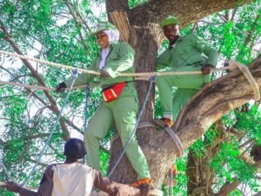 When Was The Decree Of Nysc Created